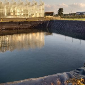 Astryn folie 0,6 - 1,0 mm